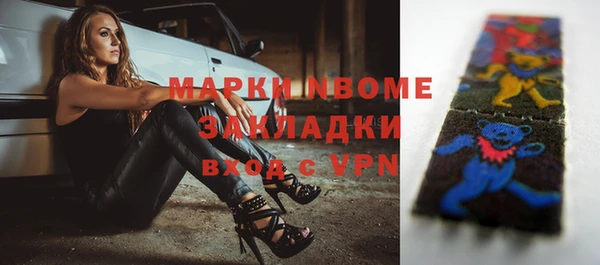 прущая мука Вяземский