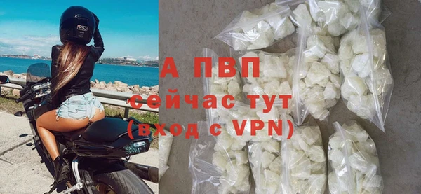 прущая мука Вяземский