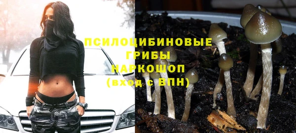 прущая мука Вяземский