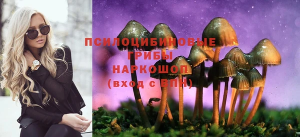 прущая мука Вяземский