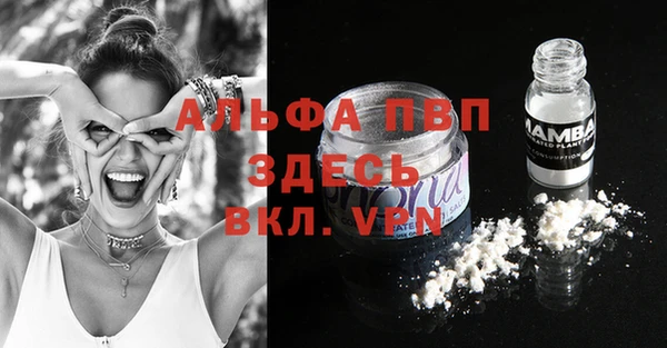 прущая мука Вяземский